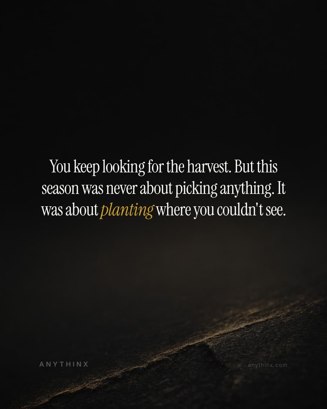 You keep looking for the harvest. But this season was never about picking anything. It was about planting where you couldn't see.